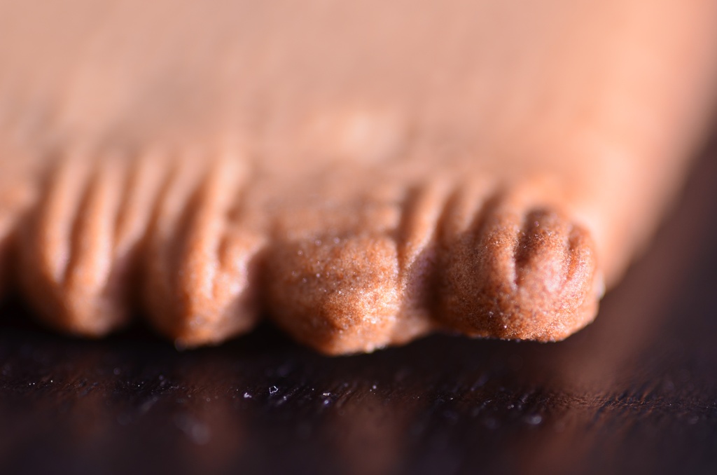 2016-12 France/St Malo/DSC_0080.JPG